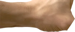 inner stacked image of a left hand